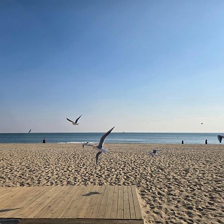 Hera Haeundae Beach Premium Ocean View # Sea View Busan Exterior photo