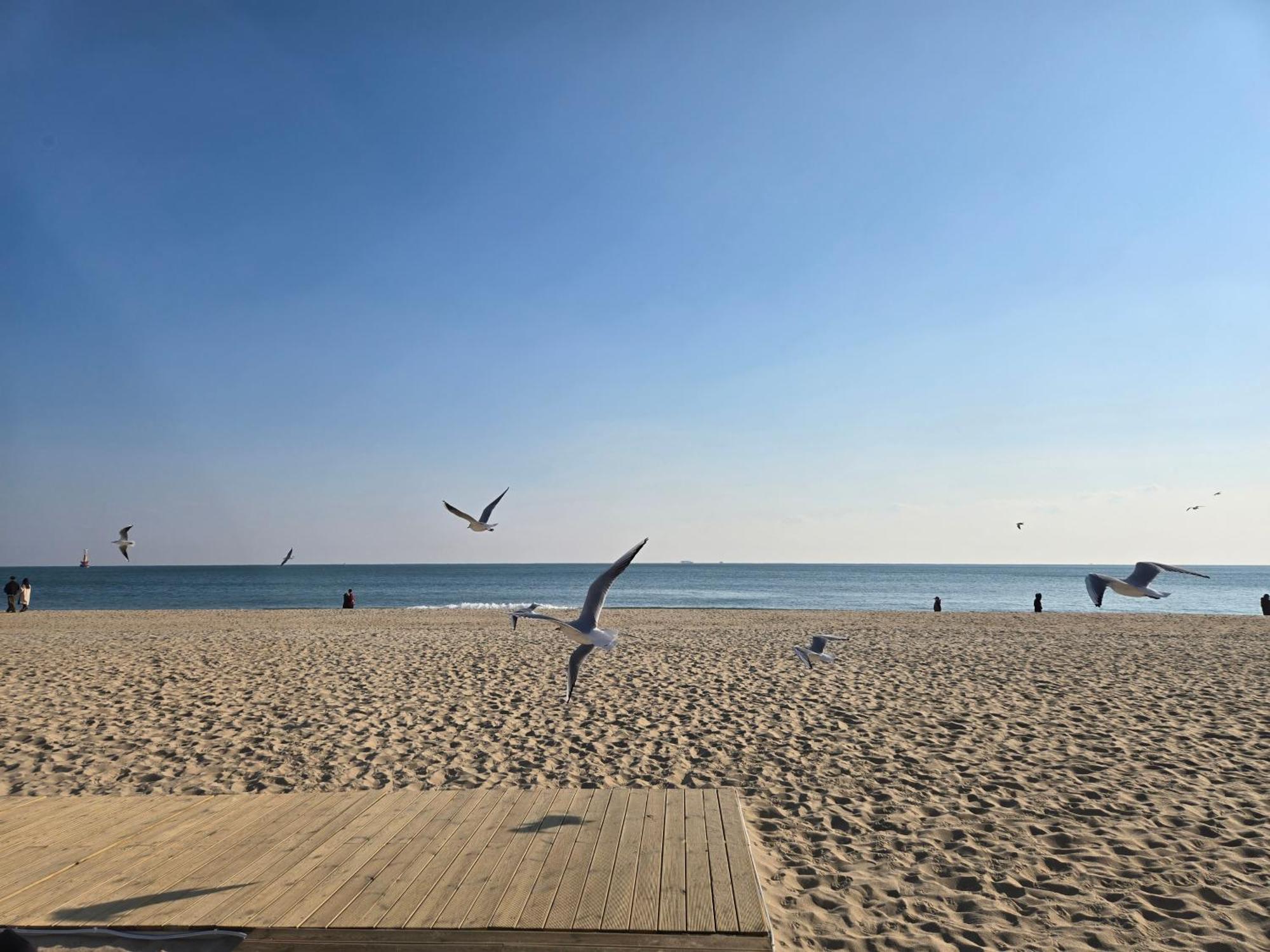 Hera Haeundae Beach Premium Ocean View # Sea View Busan Exterior photo